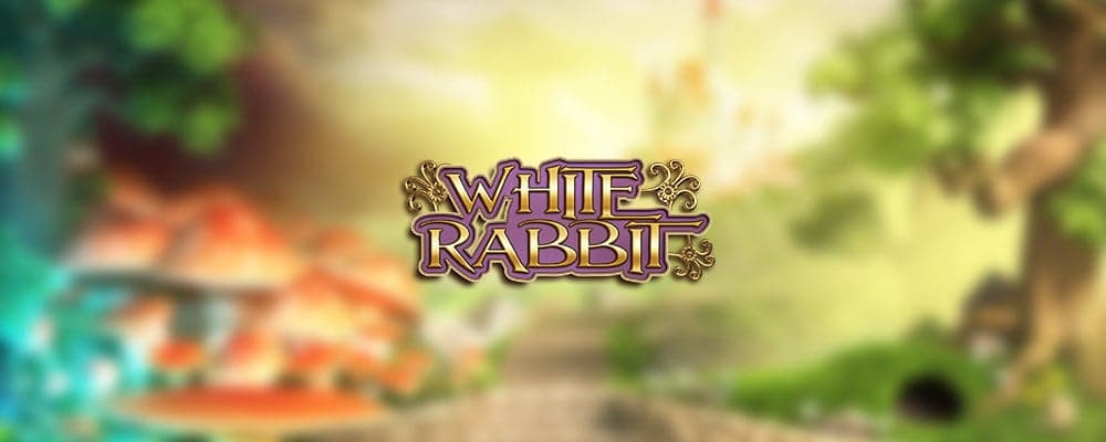 White Rabbit preview