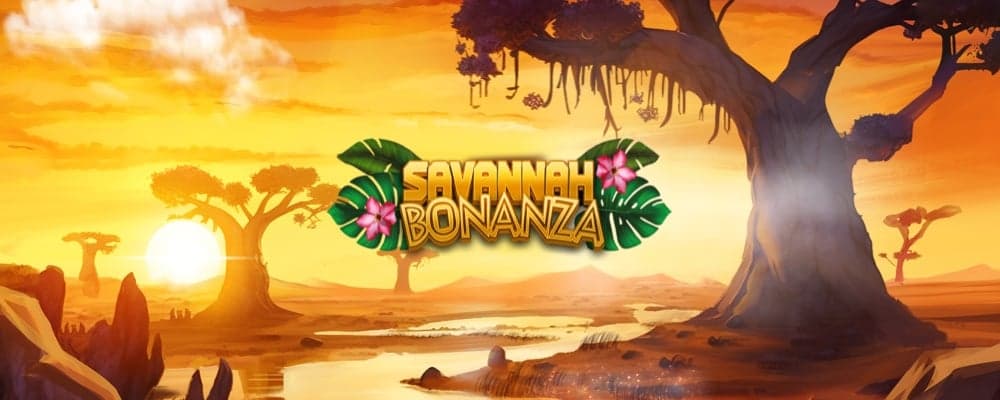 Savannah Bonanza preview
