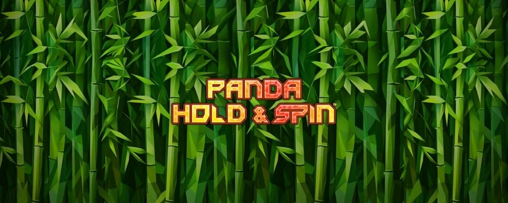 Panda Hold And Spin