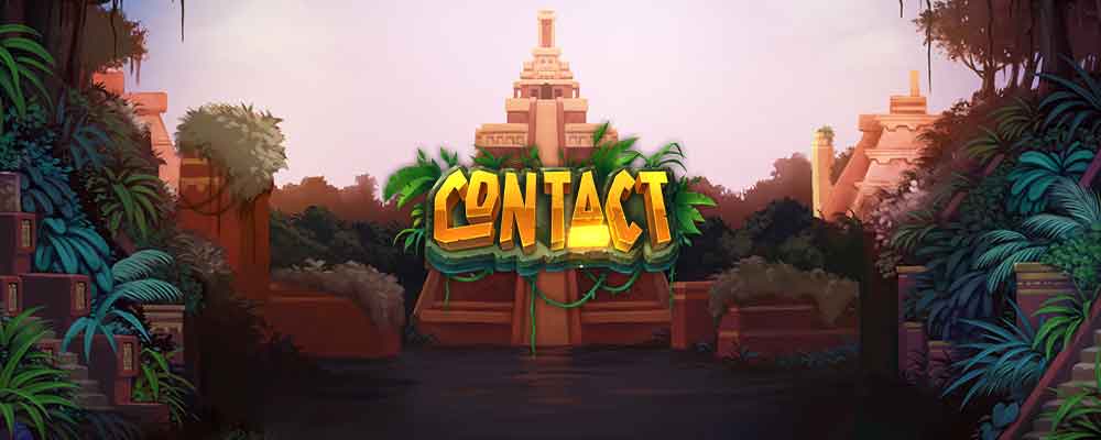 Contact preview